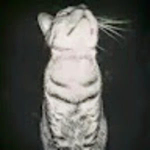 Meet your Posher, Rubi